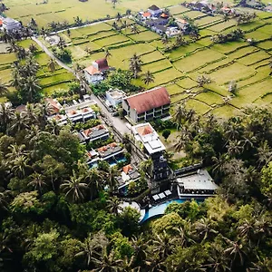 The Ning Resort